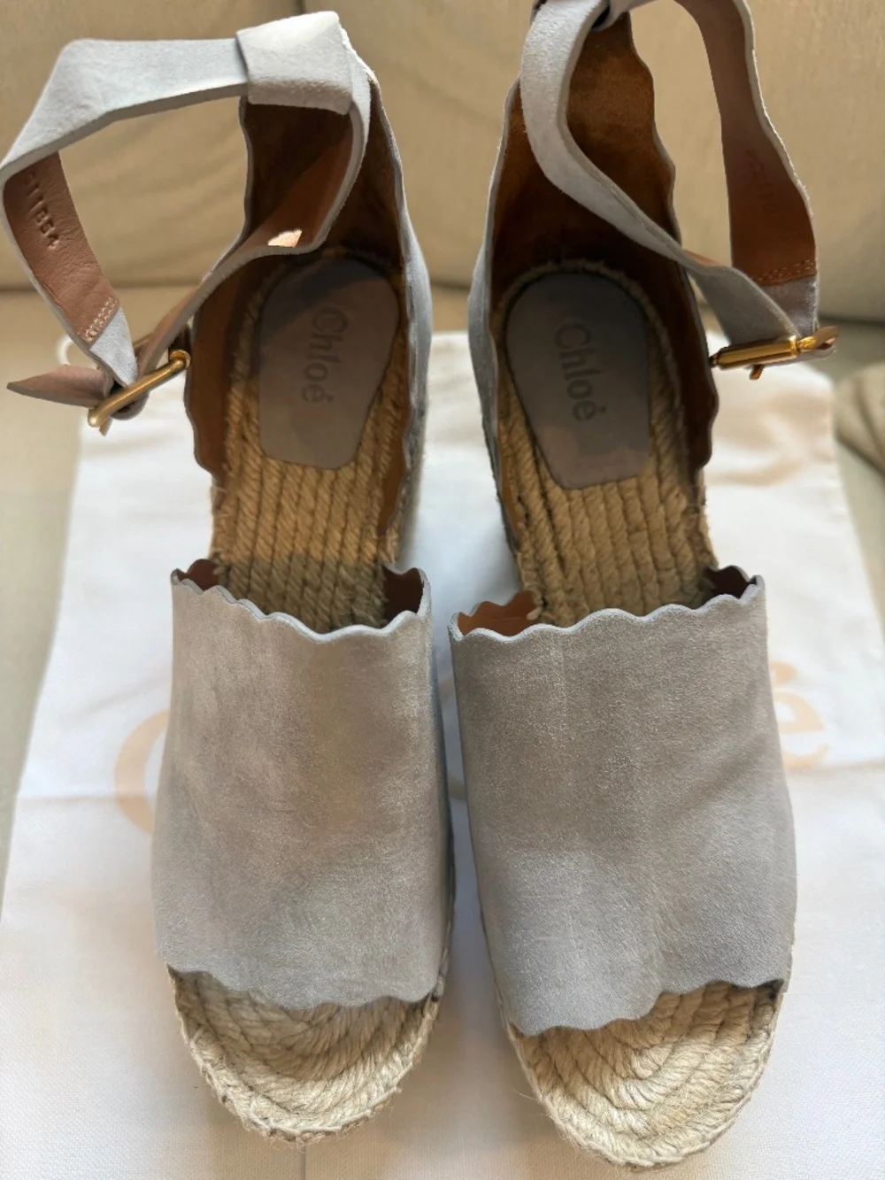 Chloe Wedge Suede Sandals